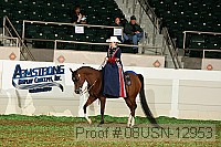 08usn-12953 proof
