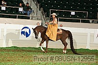 08usn-12955 proof