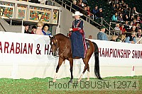 08usn-12974 proof