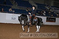 08usn-09546 proof