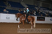 08usn-09554 proof