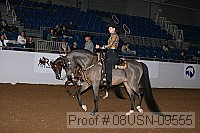 08usn-09555 proof