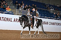 08usn-09556 proof