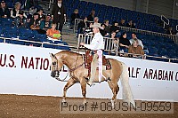 08usn-09559 proof