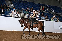 08usn-09573 proof