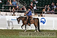 08usn-17295 proof