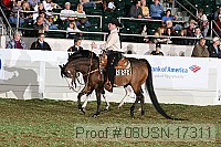 08usn-17311 proof