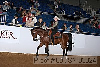 08usn-03324 proof