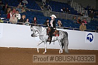 08usn-03328 proof