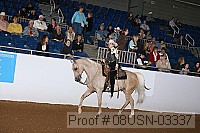08usn-03337 proof