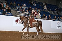 08usn-03338 proof