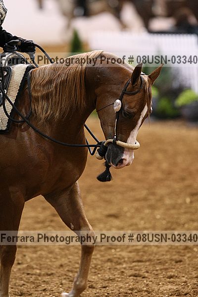 Proof 08usn-03340