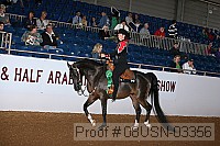 08usn-03356 proof