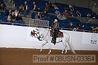 08usn-03364 proof