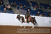 08usn-03365 proof