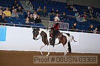 08usn-03368 proof