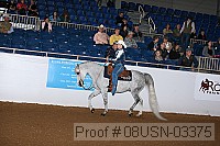 08usn-03375 proof