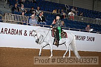 08usn-03379 proof