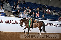 08usn-03381 proof