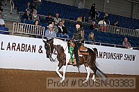 08usn-03383 proof