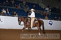 08usn-03390 proof