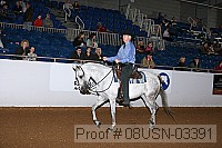 08usn-03391 proof