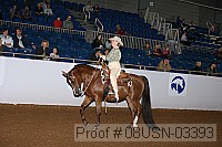 08usn-03393 proof