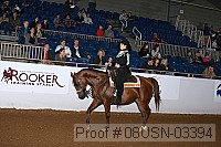 08usn-03394 proof