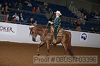 08usn-03396 proof