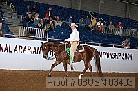 08usn-03403 proof