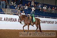 08usn-03409 proof