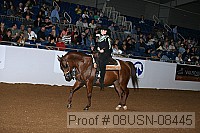 08usn-08445 proof