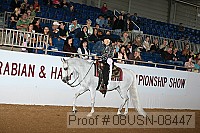 08usn-08447 proof