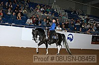 08usn-08456 proof