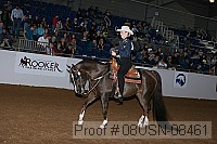08usn-08461 proof