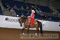 08usn-01541 proof