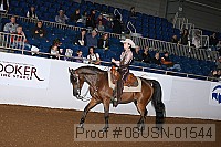08usn-01544 proof