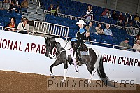 08usn-01589 proof