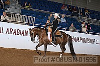 08usn-01596 proof
