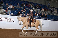 08usn-01606 proof