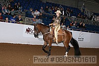 08usn-01610 proof