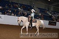08usn-01613 proof