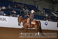 08usn-01619 proof