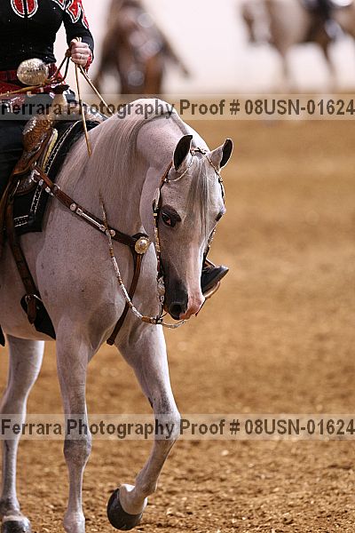 Proof 08usn-01624