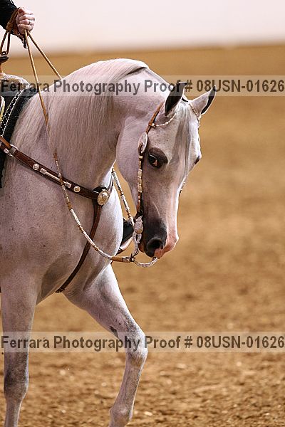 Proof 08usn-01626