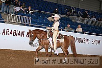 08usn-01628 proof