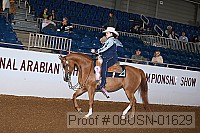 08usn-01629 proof