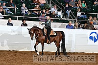 08usn-06365 proof