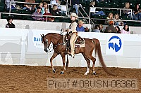 08usn-06366 proof