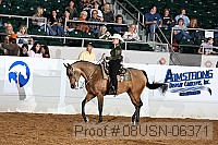 08usn-06371 proof